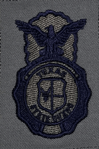Texas State Guard Security Forces Uniform Badge