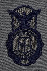 Texas State Guard Security Forces Uniform Badge Texas State Guard Security Forces Uniform Badge