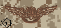 NWUII AOR1 Navy Aviation Maintenance Officer Embroidered Badge-Desert