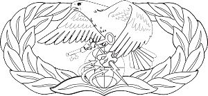 USAF Logistics Readiness Badge