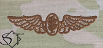 OCP Navy Aviation Physiologist Embroidered Badge-Spice Brown