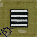 Air Force ROTC OCP Cadet Colonel Rank Insignia Velcro