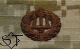 NWUII AOR1 Navy Command Ashore Embroidered Badge-Desert
