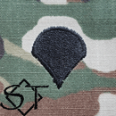 Army Rank Insignia-E4 SPC Specialist Sew-On Pair