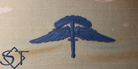 Freefall Badge OCP-USSF Freefall Badge OCP-USSF