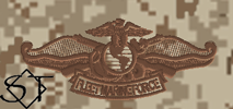 NWUII AOR1 Navy Fleet Marine Force Embroidered Badge-Desert