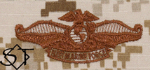 NWUII AOR1 Navy Fleet Marine Force Embroidered Badge-Desert