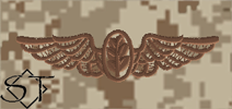 NWUII AOR1 Navy Flight Nurse Embroidered Badge-Desert