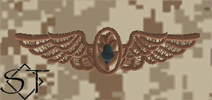 NWUII AOR1 Navy Flight Surgeon Embroidered Badge-Desert