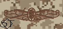 NWUII AOR1 Navy Surface Warfare Nurse Corps Embroidered Badge-Desert