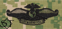 NWUIII AOR2 Navy Fleet Marine Force Embroidered Badge-Woodland