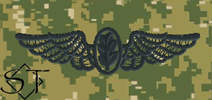 NWUIII AOR2 Navy Flight Nurse Embroidered Badge-Woodland