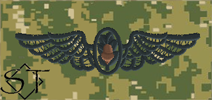 NWUIII AOR2 Navy Flight Surgeon Embroidered Badge-Woodland