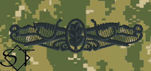 NWUIII AOR2 Navy Surface Warfare Nurse Corps Embroidered Badge-Woodland