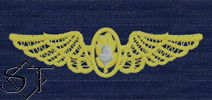 USCG ODU Navy Flight Surgeon Embroidered Badge USCG ODU Navy Flight Surgeon Embroidered Badge