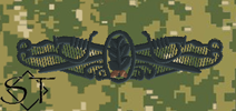 NWUIII AOR2 Navy Surface Warfare Officer Dental Corps Embroidered Badge-Woodland