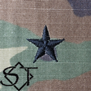 Army Rank Insignia-O7 BG Brigadier General Sew-On Pair