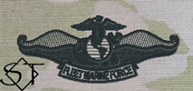 OCP Navy Fleet Marine Force Chaplain Embroidered Badge-Black