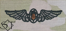 OCP Navy Flight Surgeon Embroidered Badge-Black