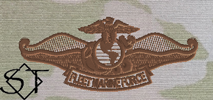 OCP Navy Fleet Marine Force Chaplain Embroidered Badge-Spice Brown