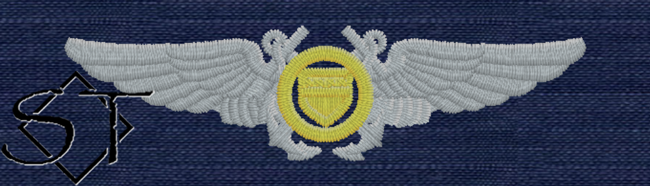 USCG Auxiliary Aviator Pilot Wings-ODU USCG Auxiliary Aviator Pilot Wings-ODU