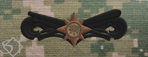 USCG Boat Force Operator Advanced NWU Type III USCG Boat Force Operator Advanced NWU Type III