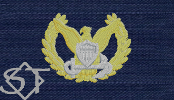 USCG Command Ashore Badge - ODU USCG Command Ashore Badge - ODU