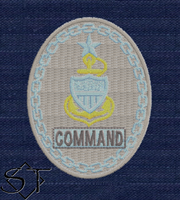 USCG Senior Enlisted Badges-Command E8 SCPO-ODU USCG Senior Enlisted Badges-Command E8 SCPO-ODU
