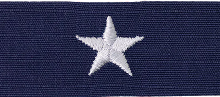Coast Guard Rank Insignia CG ODU Rear Admiral (Lower Half)-O7 Coast Guard Rank Insignia CG ODU Rear Admiral (Lower Half)-O7