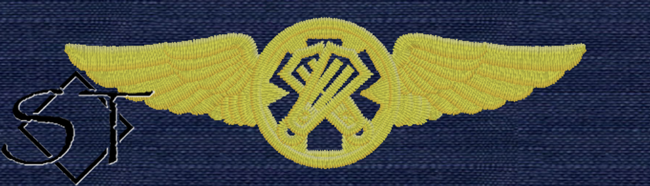 USCG Rescue Swimmer Insignia ODU USCG Rescue Swimmer Insignia ODU