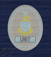 USCG Senior Enlisted Badges-Unit E8 SCPO-ODU USCG Senior Enlisted Badges-Unit E8 SCPO-ODU