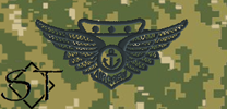 NWUIII AOR2 USMC Combat Aircrew Insignia Embroidered-Woodland