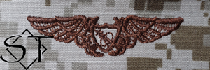 NWUII AOR1 Navy NFO Astronaut Embroidered Badge-Desert