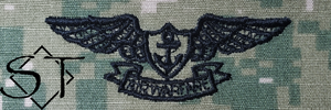 NWUIII AOR2 Navy Aviation Warfare Embroidered Badge-Woodland