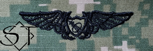 NWUIII AOR2 Navy NFO Astronaut Embroidered Badge-Woodland