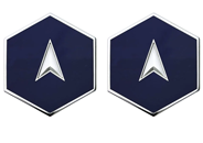 Space Force OCP E1 Specialist 1 Rank Insignia Metal