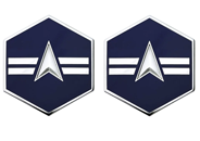 Space Force E3 Specialist 3 Rank Insignia Metal Space Force E3 Specialist 3 Rank Insignia Metal