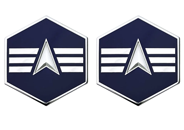 Space Force E4 Specialist 4 Rank Insignia Metal Space Force E4 Specialist 4 Rank Insignia Metal