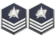 Space Force OCP E5 Sergeant Rank Insignia Metal