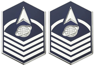Space Force OCP E7 Master Sergeant Rank Insignia Metal