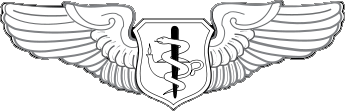 Air Force Flight Nurse Wings - Click Image to Close