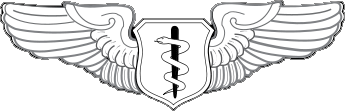 Air Force Flight Surgeon Wings - Click Image to Close