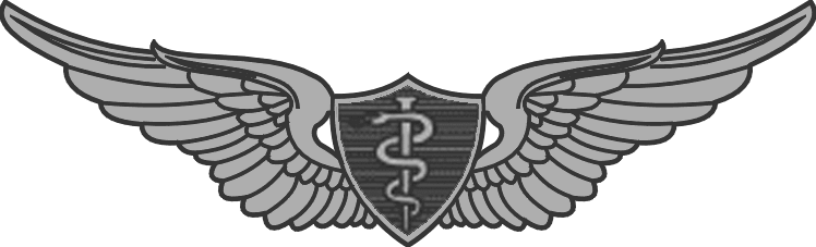 Army Flight Surgeon Wings (Astronaut option available)