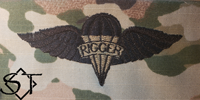 Parachute Rigger badge OCP-Army Parachute Rigger badge OCP-Army